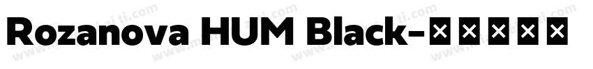 Rozanova HUM Black字体转换